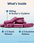 Jarrow Formulas N-A-C Sustain 600 mg - Antioxidant Amino Acid Supplement - 60 Sustain Tablets - Supports Liver & Lung Function - Precursor to Glutathione - 60 Servings (PACKAGING MAY VARY)