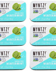 Dentist Recommended MYNTZ Brand Mints  Wintermynt Blast Flavor 6 tins x 175 ounces per tin