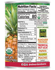 Native Forest Organic Pineapple Chunks 14 Ounce Cans Pack of 6