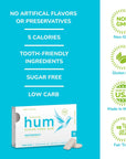 Stevita Hum Peppermint  SugarFree Gum  12 Pieces Pack of 12  Supports Oral Health  NonGMO Vegetarian Keto Gluten Free Package may vary