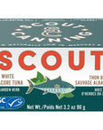 SCOUT Wild Tuna in Garden Herb Pesto  MSC Certified Responsibly Sourced Seafood Tin  Wild Albacore Tuna in BPAFree Recyclable Cans Pack of 1 x 90g tin