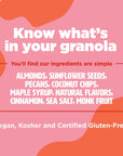 Three Wishes Granola Maple Pecan 8Pack  Gluten Free Granola 6g Protein  3g Sugar Healthy Breakfast  OntheGo Snack  Vegan Kosher  GrainFree