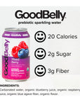 GoodBelly Organic Prebiotic Sparkling Water  Mixed Berry  Zero Added Sugar  Low Calorie  Supports Gut Health  12 pack