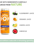 TEAONIC Fresh Pop Immunity Soda With Orange And Elderberry PlantPowered Sparkling Juice LowCalorie Soda No Sweetener Keto Friendly Vegan Wellness Drink 12 Cans Each Weighing 12 Fl Oz