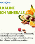 Alkazone Balance Your pH Antioxidants Alkaline Mineral Drops Single 125 Oz Pack Portable Yields 10 Gallons of alkaline antioxidant Water Unflavored pH Balance Hydration