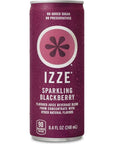 IZZE Sparkling Juice, 4 Flavor, Variety Pack - 8.4 Fl Oz Can (Pack of 24)