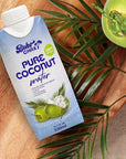 Boho Chax 100 Natural Coconut Water No Sugar Added Filled with Essential Vitamins and Electrolytes for Superior Hydration Not From Concentrate Pure Coconut Flavor 1116 Fl Oz 12Pack