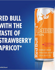 Red Bull Amber Edition Strawberry Apricot Energy Drink - 8.4 Fl Oz, 4 Cans