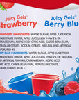 Snack Pack Strawberry  Berry Blue Flavored Juicy Gels 12 Count Snack Cups