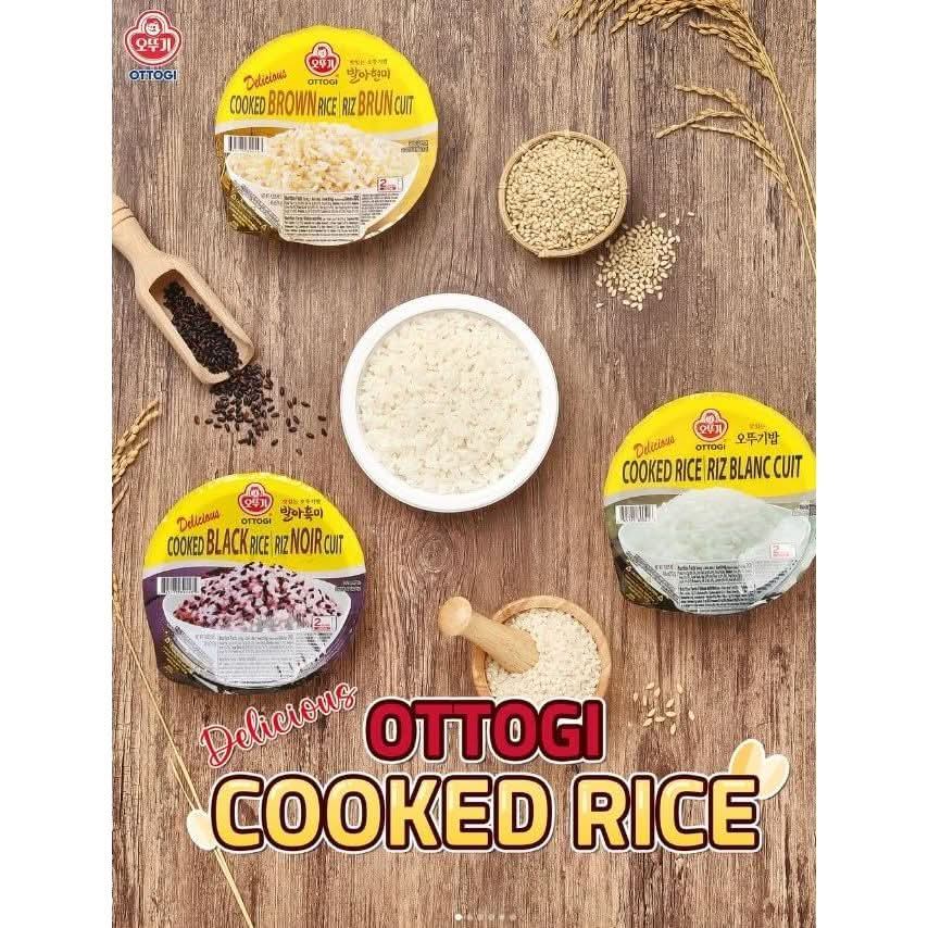 OTTOGI Delicious Cooked Rice Gluten Free Microwavable Instant Cooked Rice Precooked Ready To Eat Container 740 Oz 12 Count