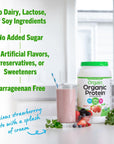 Orgain Organic Vegan Protein Powder Strawberries  Cream  21g Plant Based Protein 4g Prebiotic Fiber Low Net Carb No Lactose Ingredients No Added Sugar NonGMO For Shakes  Smoothies 203 lb