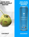 Sriphala Mineral Rich Nutritious Coconut Water Organic  with Fulvic Acid  Electrolyte Water  NonGMO Keto GlutenFree No Sugar Added Tasteful Vitamin Water Energy Quench 1332 Fl Oz12pack