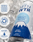 MTN WTR Naturally Alkaline Spring Water  Made by Mt Fuji Japan  Naturally Filtered Alkaline Spring Water in 16oz Recyclable Aluminum Cans Pack of 12