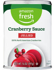 Amazon Fresh Regular Jellied Cranberry Sauce 14 Oz