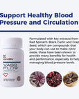 Xtendlife VasQFlow Circulation and Blood Flow Support - Nitric Oxide Supplement to Improve Nitric Oxide, Oxygen Flow, Healthy Blood Pressure & Immunity | 100% Vegan, Non-GMO (90 Count)