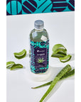 Alovated Aloe Vera Veggie Drink Original Real Aloe Pulp Extra Vegetable Fiber Added 169 Fl Oz 169 Fl Oz 6