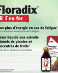 Floradix Liquid Iron and Vitamin Formula 250ml