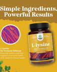 L Lysine 1000mg Nutritional Supplements - L-lysine Essential Amino Acids for Eye Health Lip Care Bone Support Immune System Support Muscle Growth and Vegetarian Collagen Production - 240 Tablets