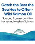 Natural Factors, Wild Alaskan Salmon Oil Provides Omega-3, EPA, DHA & Vitamin D, Supports Brain & Heart Health, 90 Softgels