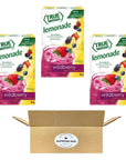 TRUE LEMON Wildberry Lemonade Drink Mix - Pack of 3 (30 count in total)