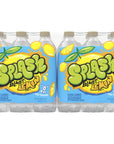 Splash Refresher Lemon Flavor Water Beverage 169 Fl Oz Plastic Bottles 24 Count