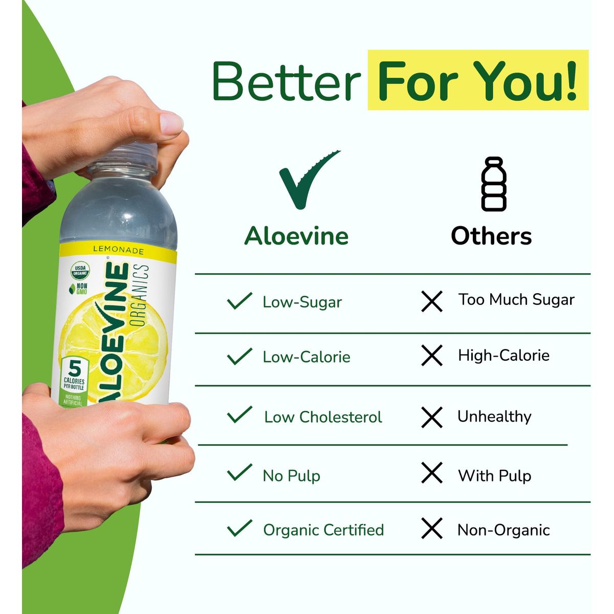 Aloe Vera Juice NoPulp Organic Aloe Vera Drink Healthy Juice with Aloe Powder and Lemon Juice 5 Calories Low Sugar No Artificial Ingredients 169 oz 12 Pack Lemonade  Aloevine Organics