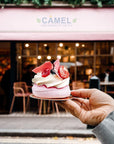 CAMEL Freeze Dried Strawberry Powder Premium Culinary Grade 10 oz 100% Natural Sweetened Baking Latte Smoothies Beverage High in Antioxidant Detox Gluten Free Vegan