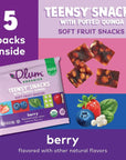 Plum Organics Teensy Fruits, Berry, 5 Count (Pack of 4)