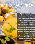 TUYYO Mango Agua Fresca Instant Powdered Drink Mix Real Fruit  Agave Light  Refreshing Flavor ZERO Artificial Flavors or Colors Dye Free Gluten Free Vegan 12 Servings 85oz