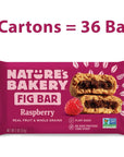 Nature’s Bakery Whole Wheat Fig Bars, Raspberry, Real Fruit, Vegan, Non-GMO, Snack bar, 6 Count (Pack of 6)