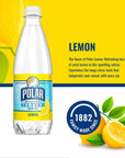 Polar Beverages Seltzer Sparkling Water Variety Pack Flavored Seltzer Drinking Water 12 x 20 Ounce