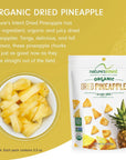 Natures Intent Organic Dried Pineapple  4 Pack x 35 Ounce  A Healthy Snack  Vegan Vegetarian USDA Organic NonGMO and GlutenFree with No Added Sugars or Preservatives  Real Dried Fruit