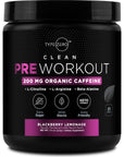 Type Zero Clean Pre Workout (11.3 oz | BlackBerry Lemonade) + Beet Root + L-Arginine + L-Citrulline - 2G Arginine, L-Citrulline Malate, Sugar Free, Organic Caffeine Preworkout