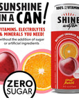 ShineWater Vitamin D Hydration Electrolyte Drink Fruit Punch 12 Pack Sugar Free Naturally Flavored Water Magnesium Zinc Vitamin B12 Folic Acid Plant Based Antioxidants Low Calorie