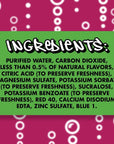 Splash Fizz Black Cherry Flavored Sparkling Water Zero Sugar with Electrolytes 20 Fl Oz 12 Pack