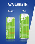 Red Bull Summer Edition Curuba Elderflower Energy Drink 84 Fl Oz 4 Cans