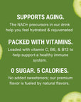 YOUTHWATER Cucumber NAD Enhancing Flavored Water 0 Sugar Low Calorie With Vitamin C B and NAD Precursors Pack of 12