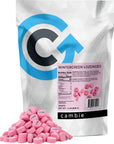 Pink Wintergreen Mints by Cambie  2 lbs of Wintergreen Mint Bulk Candy  Deliciously Sweet  Refreshing Mint Lozenges  Packaged Fresh in a Resealable Stand Up Pouch  2 lb