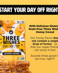 Protein and Gluten-Free Breakfast Cereal by Three Wishes (1-Pack) - High Protein and Low Sugar Snack - Vegan, Kosher, Grain-Free and Dairy-Free - Non-GMO (Honey)