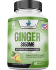 Ginger Root Capsules Organic 3850mg - 90 Veg Capsule