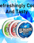 Ice Breakers Sugar Free Hard Candy  Pack of 12