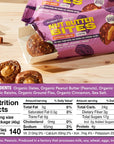 Sweet Nothings Oatmeal Raisin USDA Organic Nut Butter Bites Protein Bar Nut  Date Snack Filled with Peanut Butter 122 Bite Value Packs  No Added Sugar Plant Based Vegan Only 7 Ingredients