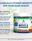 BioTrust Ageless Muscle Builder - Micronized Creatine Monohydrate Powder with HMB, Vitamin D3 & Betaine - Build & Preserve Naturally Declining Muscle Mass & Strength - Fruit Punch, 30 Servings