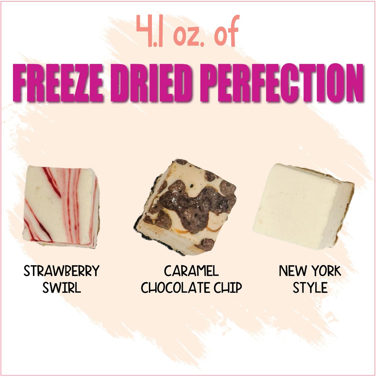 Freeze Dried Cheesecake New York Style Caramel Chocolate Chip and Strawberry Swirl Crunchy Treat Resealable Bag 41 oz Cheese Cake