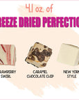 Freeze Dried Cheesecake New York Style Caramel Chocolate Chip and Strawberry Swirl Crunchy Treat Resealable Bag 41 oz Cheese Cake