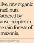 Living Tree Community Foods - Alive & Raw Organic Brazil Nut Butter - Nut Butter Made in Small Batches & Always Fresh - 16 Ounce Jar