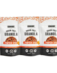 Witzis Grain Free Granola  Pumpkin Spice 5oz Pack of 3