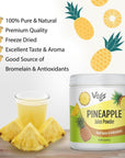 Vegs Pineapple Juice Powder Freeze Dried Organic Pineapple Powder with Bromelain  Antioxidants Sugar free Pineapple Juice Concentrate Fruit Powder for Smoothies Shakes Baking  Drinks 14 Oz