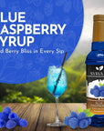 Syruvia 4 Pack Blue Raspberry Coffee Syrup  254 fl oz  Kosher GlutenFree and Bursting with Delicious Flavor Elevate Your Drinks and Desserts