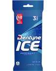 Dentyne Ice SugarFree Gum Peppermint 48 Count  Pack of 2 96 ct in total